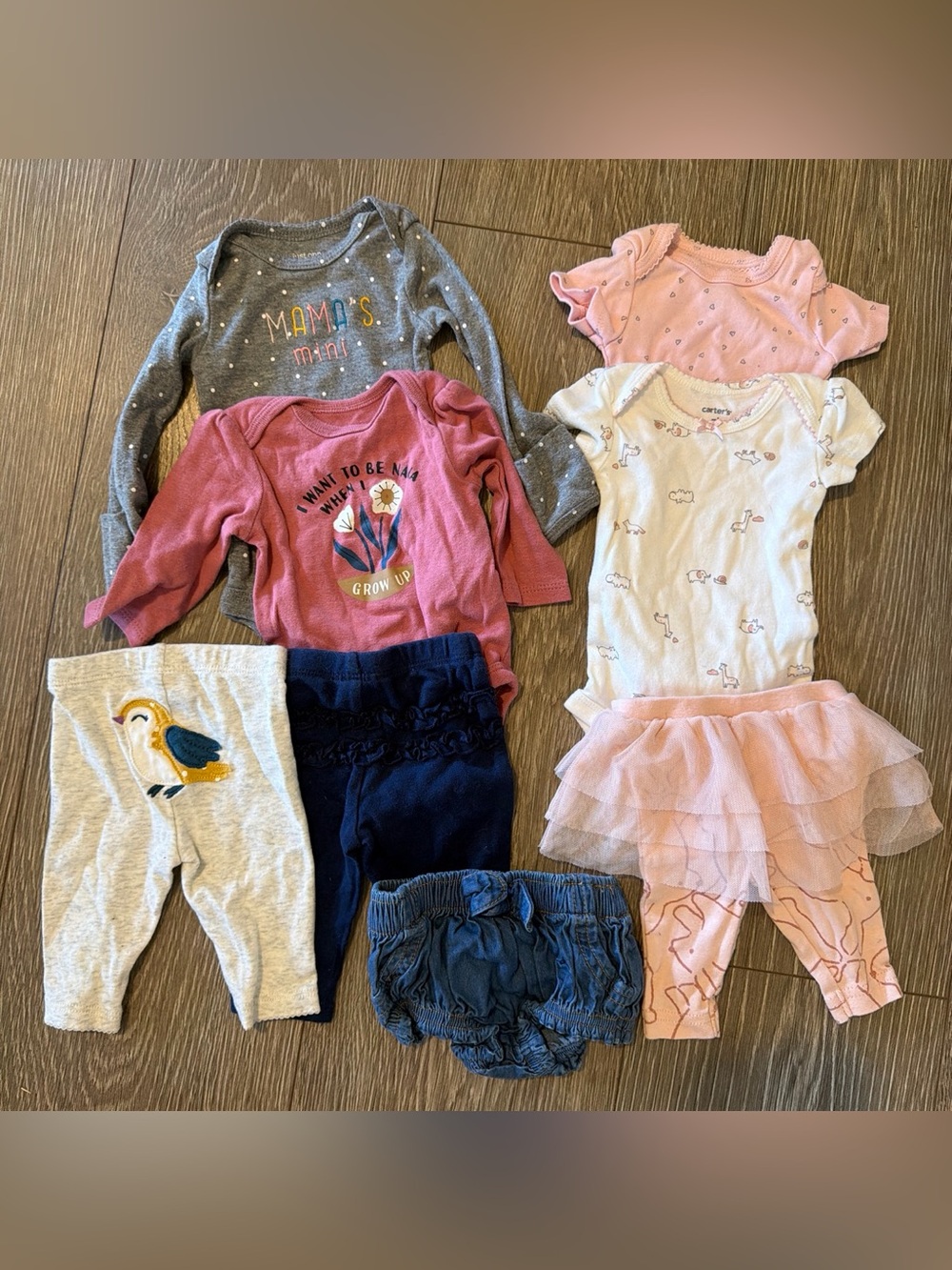 Baby Girl Clothing bundle